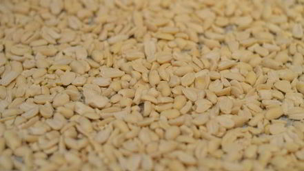 Рецепт рулета медового с карамелью и арахисом