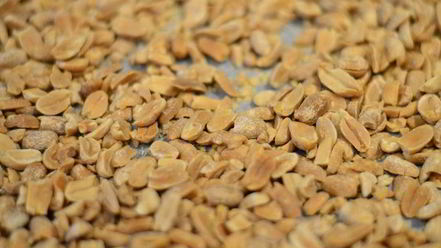 Рецепт рулета медового с карамелью и арахисом