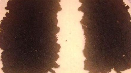 Рецепт творожного рулета с маком