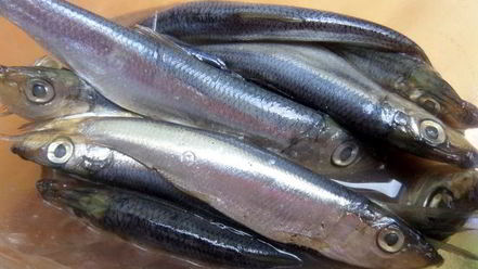 Рецепт суш по-русски