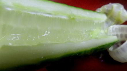 Рецепт суш по-русски