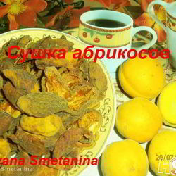 Рецепт Сушки абрикосов в электросушилке