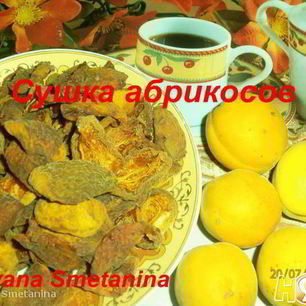 Рецепт Сушки абрикосов в электросушилке