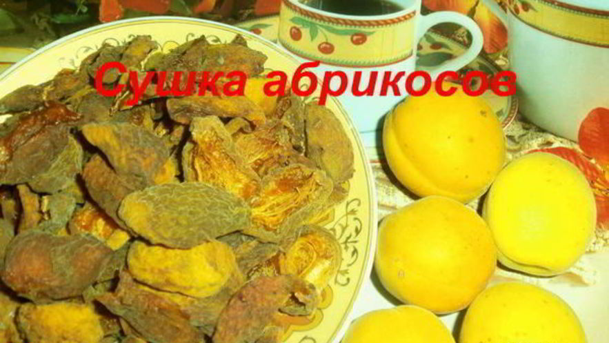 Рецепт сушки абрикосов в электросушилке