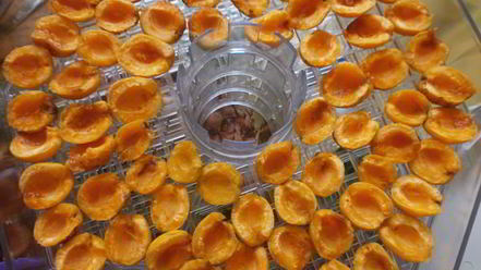 Рецепт сушки абрикосов в электросушилке