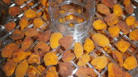 Рецепт сушки абрикосов в электросушилке