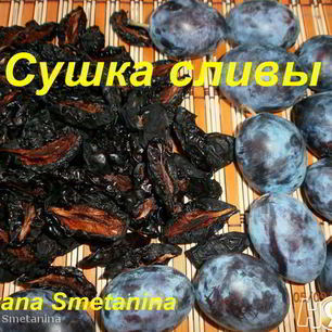 Рецепт Сушки слив в электросушилке