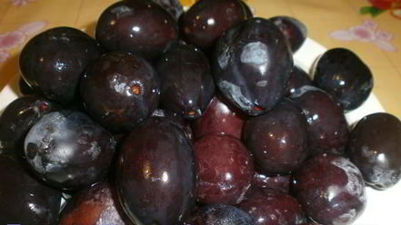 Рецепт сушки слив в электросушилке