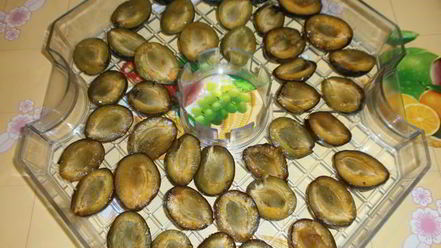 Рецепт сушки слив в электросушилке