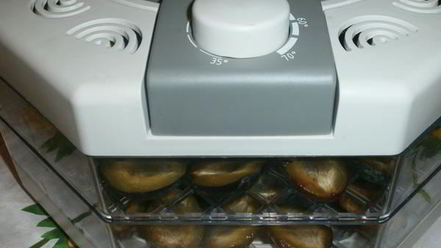 Рецепт сушки слив в электросушилке