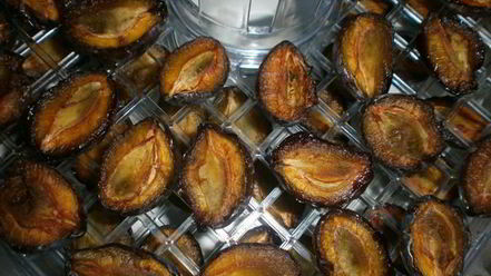 Рецепт сушки слив в электросушилке