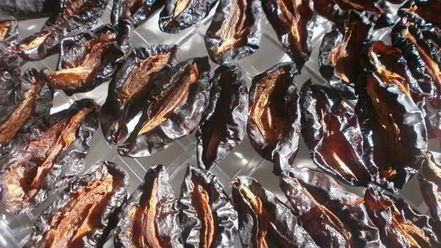 Рецепт сушки слив в электросушилке