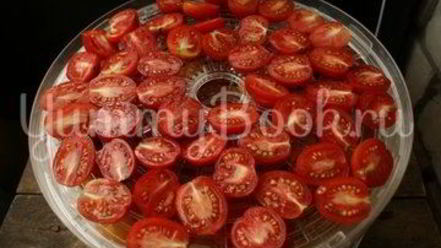 Рецепт вяленых помидоров в электросушилке
