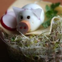 Свинки из вареных яиц