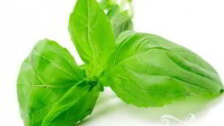 Рецепт румяного сэндвича с помидором