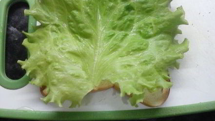 Рецепт сэндвича с омлетом