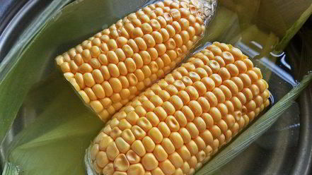 Рецепт сэндвичей из баклажанов