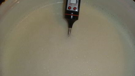 Рецепт сыра ricotta домашнего