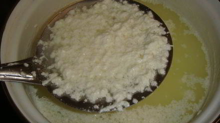 Рецепт сыра ricotta домашнего
