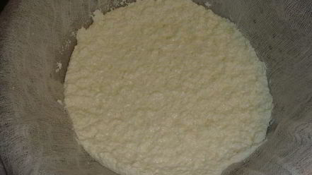 Рецепт сыра ricotta домашнего