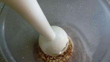 Рецепт абрикосовой тарталетки