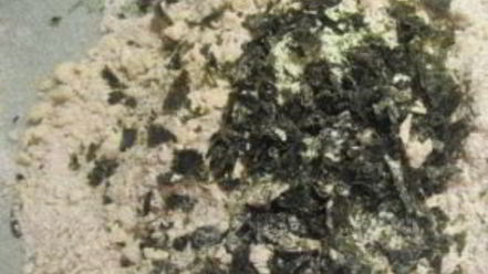 Рецепт тарталеток с креветками и авокадо