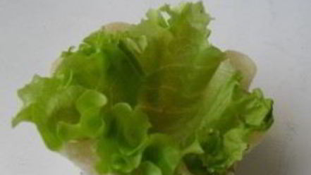 Рецепт тарталеток с тунцом консервированным