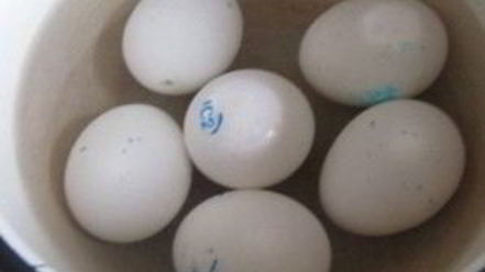 Рецепт тарталеток с языком