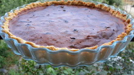 Рецепт тарта с дынной пастилой и шоколадом