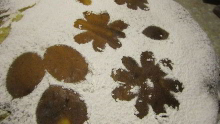 Рецепт тарта с карамелизированными фруктами и творожным пудингом