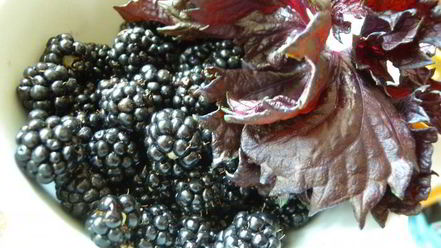 Рецепт тарта с клубникой с розмарином и ежевикой с базиликом двойное удовольствие