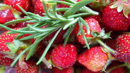 Рецепт тарта с клубникой с розмарином и ежевикой с базиликом двойное удовольствие