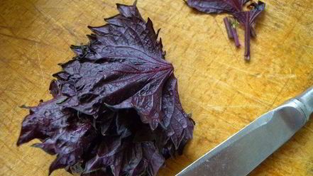 Рецепт тарта с клубникой с розмарином и ежевикой с базиликом двойное удовольствие