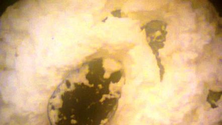 Рецепт глазуньи с творогом