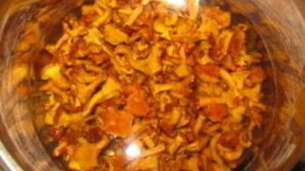 Рецепт яичницы с лисичками