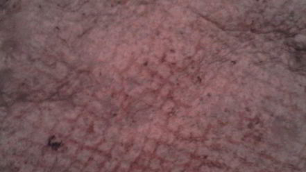 Рецепт закуски печеночной