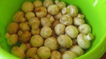 Рецепт грибного заливного постного