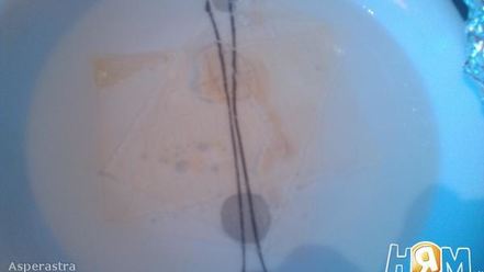 Рецепт сильно рыбного заливного