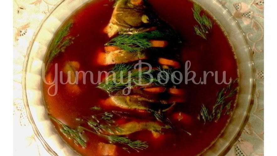 Рецепт заливного из карпа с буряком