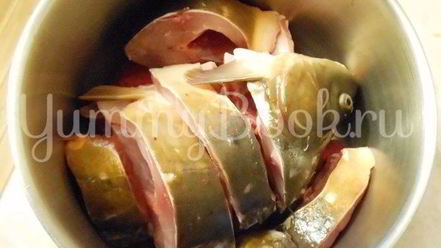 Рецепт заливного из карпа с буряком