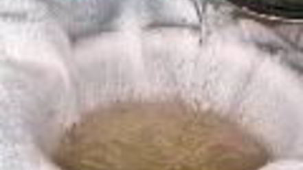 Рецепт заливного из курицы с грецкими орехами