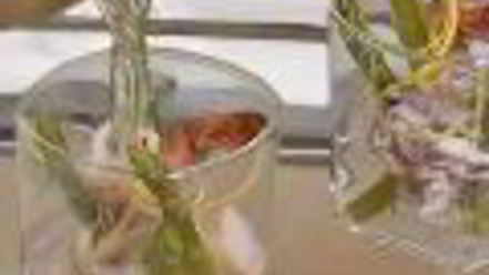 Рецепт заливного из морепродуктов в бокалах