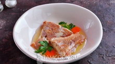 Рецепт заливного из морского окуня