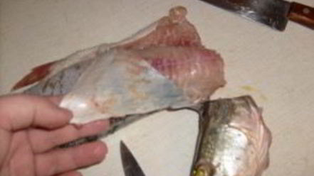 Рецепт заливного из щуки