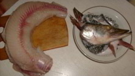 Рецепт заливного из щуки