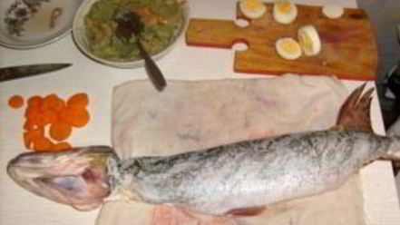 Рецепт заливного из щуки