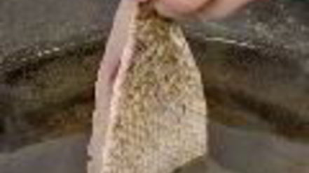 Рецепт заливного из судака с креветками