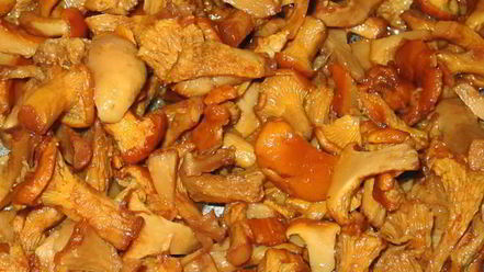 Рецепт жульена в булочках